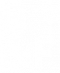 BandF logo